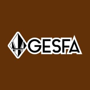 8º Grupo Escoteiro São Francisco de Assis